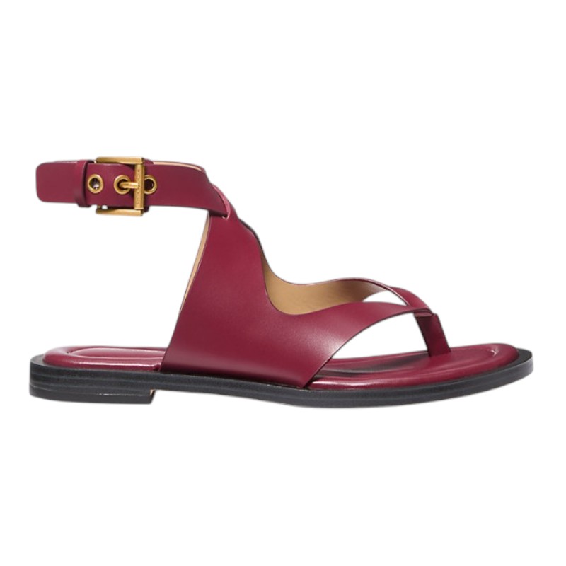 gunaikeia-dermatina-sandalia-michael-kors-irene-flat-thong-40t5irfs1l-mulberry-nexstep (3)