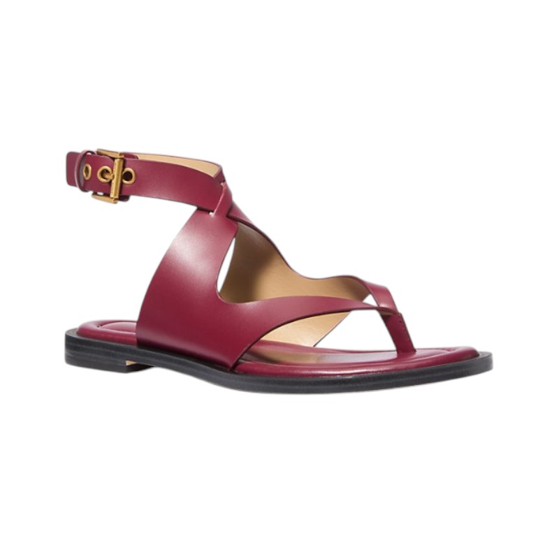 gunaikeia-dermatina-sandalia-michael-kors-irene-flat-thong-40t5irfs1l-mulberry-nexstep